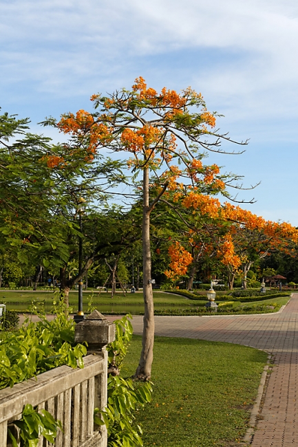 Suan Luang-JUN14-024
